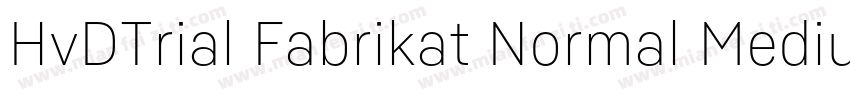 HvDTrial Fabrikat Normal Medium字体转换